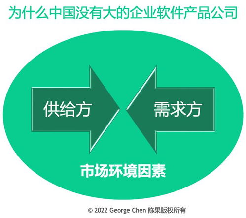 為何中國企業(yè)軟件市場(chǎng)未現(xiàn)巨頭？探析背后的多重因素